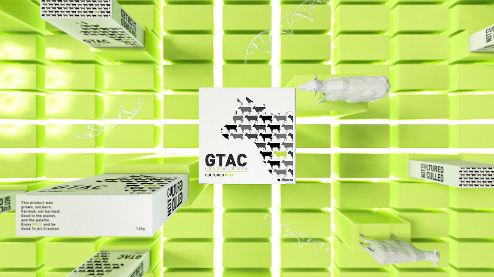 Idea Dolls creates tactile packaging and NASA-inspired designs for lab (5).jpg