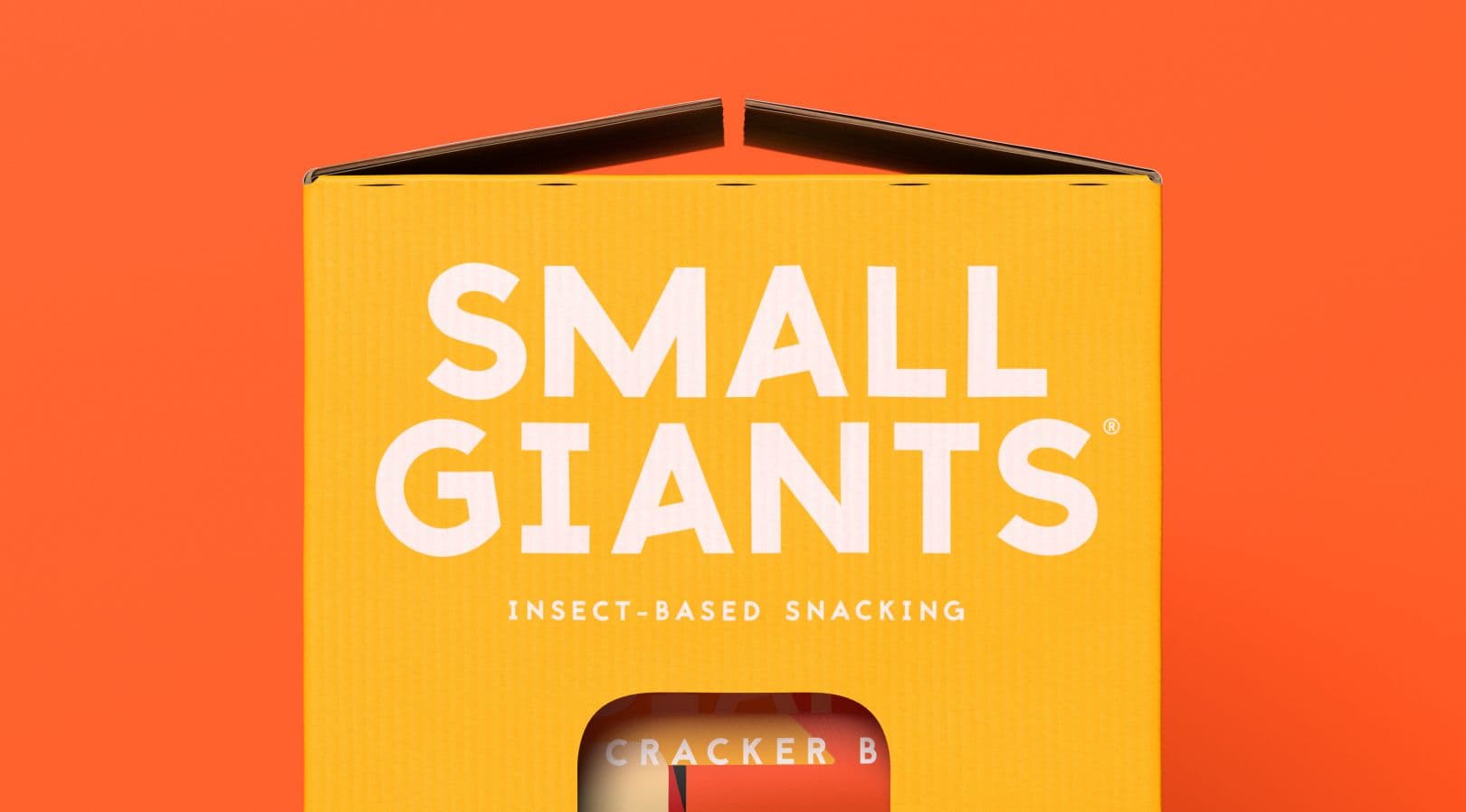 Midday 的 Small Giants 新身份让昆虫零食更具吸引力  创意热潮 (9)