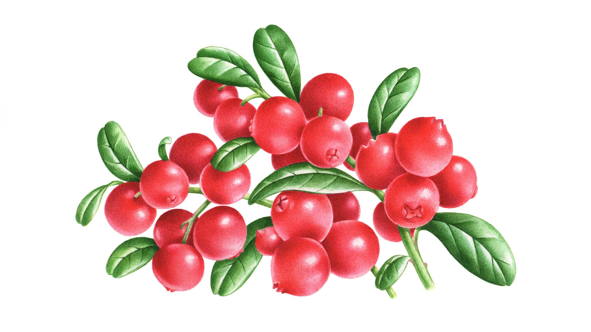 酸奶品牌包装设计5.jpg 酸奶品牌包装设计5.jpg