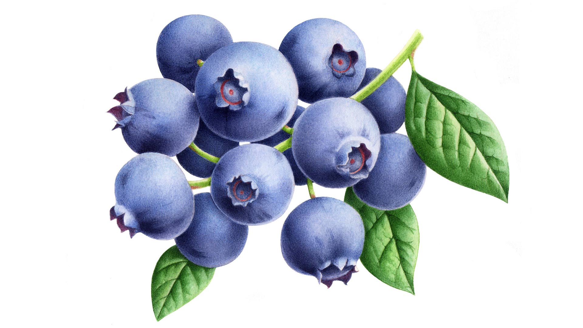 酸奶品牌包装设计3.jpg 酸奶品牌包装设计3.jpg