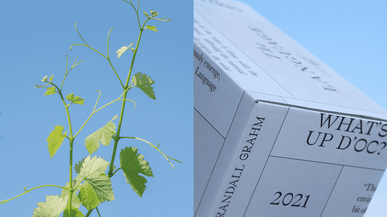 葡萄酒包裝設(shè)計(jì)2.png 葡萄酒包裝設(shè)計(jì)2.png