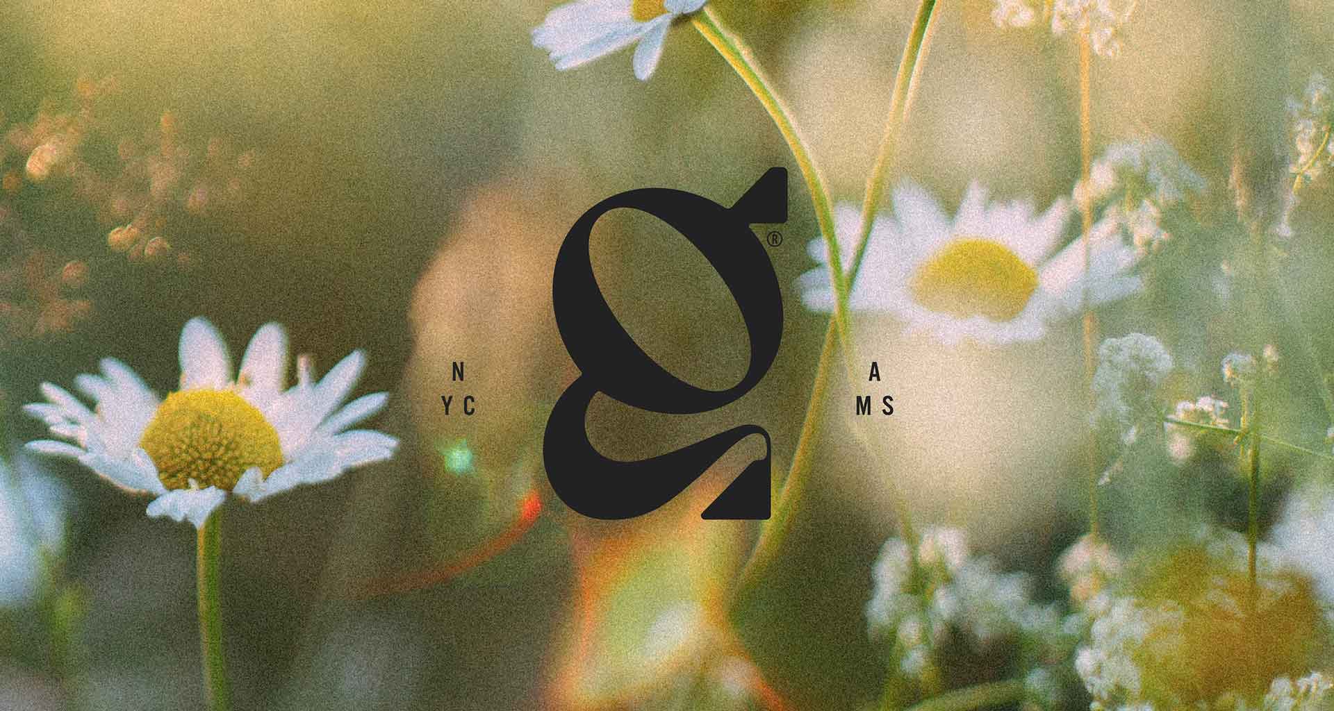 杜松子酒包裝.jpg 杜松子酒包裝.jpg