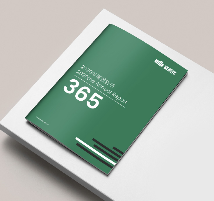 90 年代美学让科技企业vi设计栩栩如生