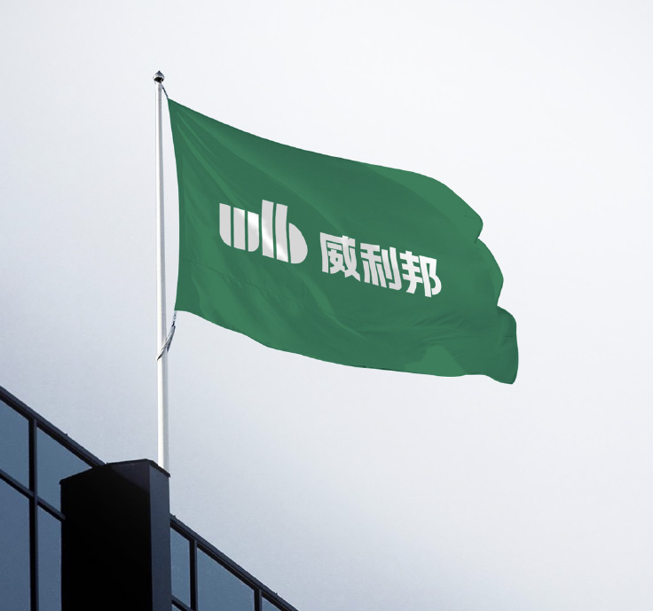 专业企业vi设计公司回归品牌丰富的档案库