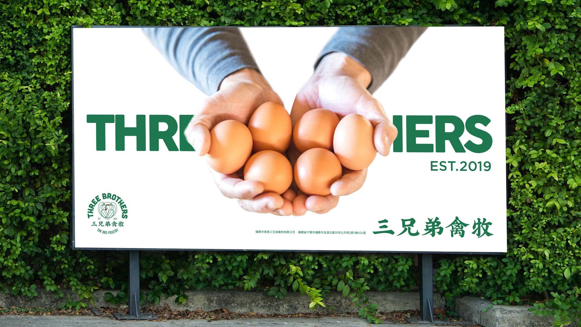 知名vi設(shè)計(jì)公司.jpeg 知名vi設(shè)計(jì)公司.jpeg