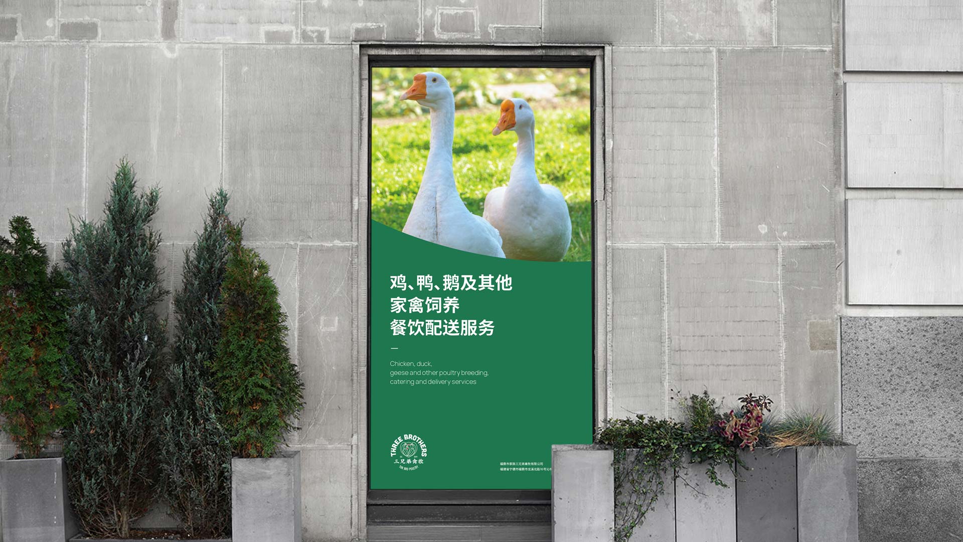 雞蛋品牌包裝設(shè)計(jì).jpeg 雞蛋品牌包裝設(shè)計(jì).jpeg