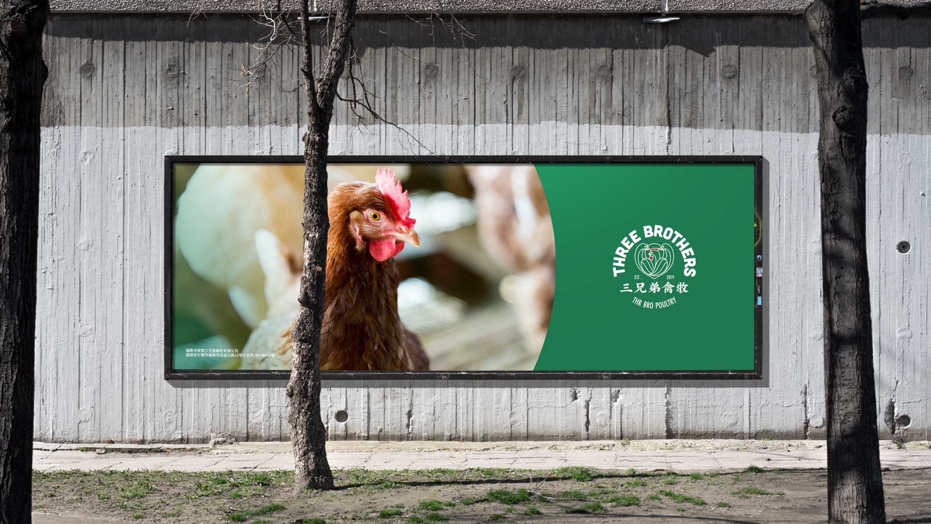 金融企业vi设计.jpeg 金融企业vi设计.jpeg