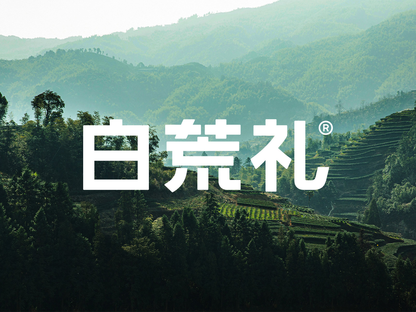 白荒禮
